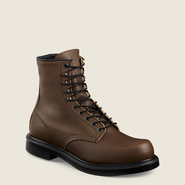 Botas de Trabajo Red Wing Hombre Marrom Oscuro - Supersole® - 8-Inch Soft Toe - 160-TODGYS